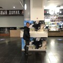 ���������� �������, ���� ������� �������, 39 ���, ������������ ��� c�������� ���������, ���������