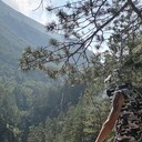  ,   Viktor, 31 ,   c 