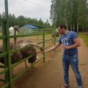 ���������� �����-���������, ���� ������� Roman, 37 ���, ������������ ��� ������, ����� � ���������