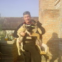   ,   , 54 ,   ,   , c 