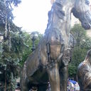 ���������� ����������, ���� ������� Sergei, 38 ���, ������������ ��� ������, ����� � ���������, c�������� ���������