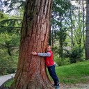 ���������� ������ �����, ���� ������� ����, 39 ���, ������������ ��� ������, ����� � ���������, c�������� ���������