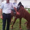  ,   ALEKBER, 52 ,     , c 