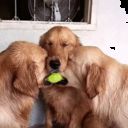 ���������� �������, ���� ������� Slava, 39 ���, ������������ ��� ������, ����� � ���������, c�������� ���������