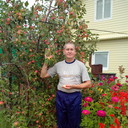  ,   , 62 ,   ,   , c 