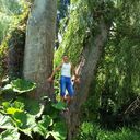 ���������� ����, ���� ������� �����, 36 ���, ������������ ��� ������, ����� � ���������, c�������� ���������, ���������