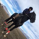 ���������� �����������, ���� ������� �����, 29 ���, ������������ ��� ������, ����� � ���������