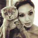 ���������� ������, ���� ������� ���, 41 ���, ������������ ��� ������, ����� � ���������, c�������� ���������