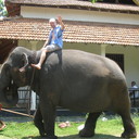  ,   , 42 ,   ,   , c 