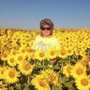  ,   , 55 ,   ,   