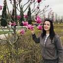  ,   , 49 ,   ,   , c 