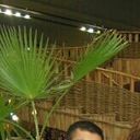 ���������� ������, ���� ������� Gev, 38 ���, ������������ ��� ������