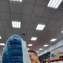 ���������� ���������� �����, ���� ����� �����, 25 ���, ������������ ��� ������, ����� � ���������