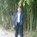 ,   36, 50 ,   