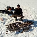  ,   , 38 ,   