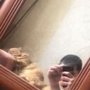  -,   , 27 ,   ,   