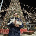 ���������� �����������, ���� ������� �������, 30 ���, ������������ ��� ����� � ���������, c�������� ���������