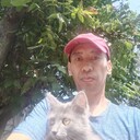  ,   Sanat, 33 ,   , 