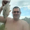 ���������� �����, ���� ������� A����, 44 ����, ������������ ��� ������, ����� � ���������, c�������� ���������, ���������