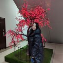 ���������� ������, ���� ������� ������, 35 ���, ������������ ��� ����� � ���������, c�������� ���������