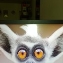 ���������� �������, ���� ������� �����, 35 ���, ������������ ��� ������