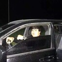 ���������� ������, ���� ������� ����, 31 ���, ������������ ��� ������, ����� � ���������, c�������� ���������