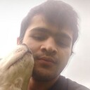 ���������� ������, ���� ����� ������, 23 ����, ������������ ��� ������, ����� � ���������