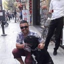 ���������� ��������, ���� ������� ����, 41 ���, ������������ ��� ������, ����� � ���������