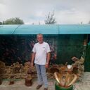  ,   , 44 ,   ,   , c , 
