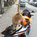  ,   Ahmet, 37 ,   ,   , c 
