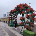 ���������� ���������, ���� ������� ���, 37 ���, ������������ ��� ������, ����� � ���������