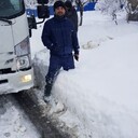 ���������� �����, ���� ������� ������, 36 ���, ������������ ��� ����� � ���������, c�������� ���������