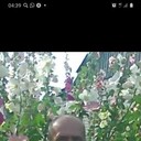  --,   , 57 ,   ,   