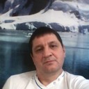  ,   German, 58 ,   