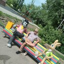 ���������� ��������, ���� ������� �����, 29 ���, ������������ ��� ����� � ���������