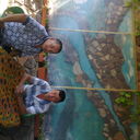  ,   , 50 ,   ,   , c 