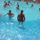  ,   , 44 ,   