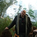   ,   , 67 ,   