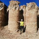 ���������� ������, ���� ������� ������, 56 ���, ������������ ��� ����� � ���������, c�������� ���������