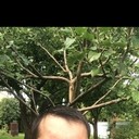 ���������� �������, ���� ������� ������, 35 ���, ������������ ��� ������, ����� � ���������, c�������� ���������, ���������