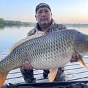  ,   , 58 ,   ,   , c 