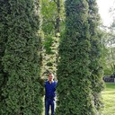 ���������� �������, ���� ������� ���������, 51 ���, ������������ ��� ����� � ���������, c�������� ���������