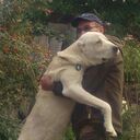 ���������� ��������, ���� ������� �����, 52 ����, ������������ ��� ������, ����� � ���������, c�������� ���������