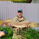 ���������� ���������, ���� ������� ����, 50 ���, ������������ ��� ������, ����� � ���������