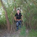 ���������� ����, ���� ������� ������, 43 ����, ������������ ��� ������, ����� � ���������, c�������� ���������