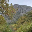 ���������� �������, ���� ������� ���������, 39 ���, ������������ ��� ������, ����� � ���������, c�������� ���������