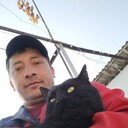  ,   , 40 ,   ,   