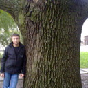 ���������� ��������, ���� ������� �����, 38 ���, ������������ 