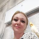 ���������� ���������, ���� ������� �����, 38 ���, ������������ ��� ���������