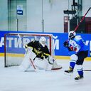 ���������� ��������, ���� ������� �����, 28 ���, ������������ ��� ������, ����� � ���������